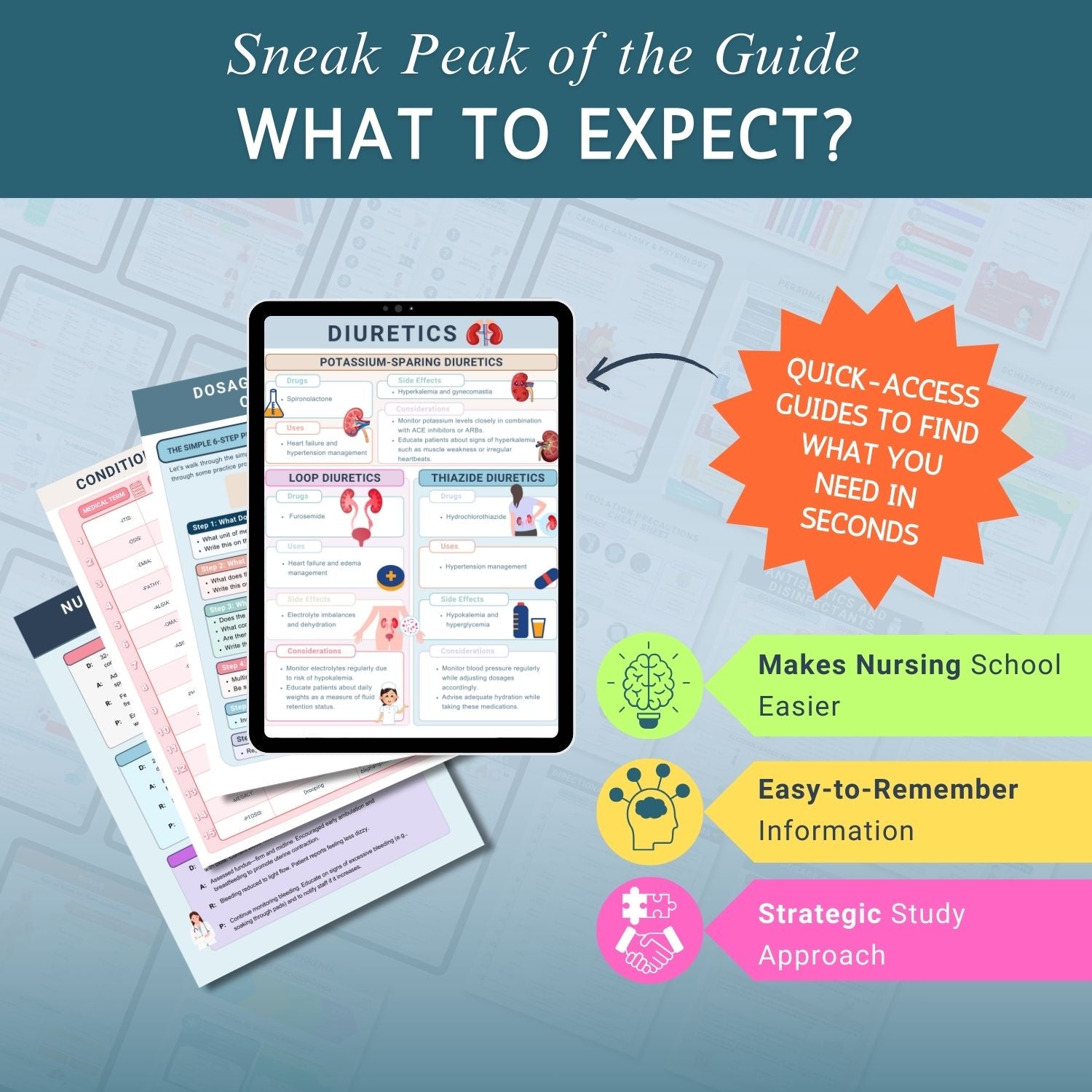 The Ultimate Nursing School Bundle