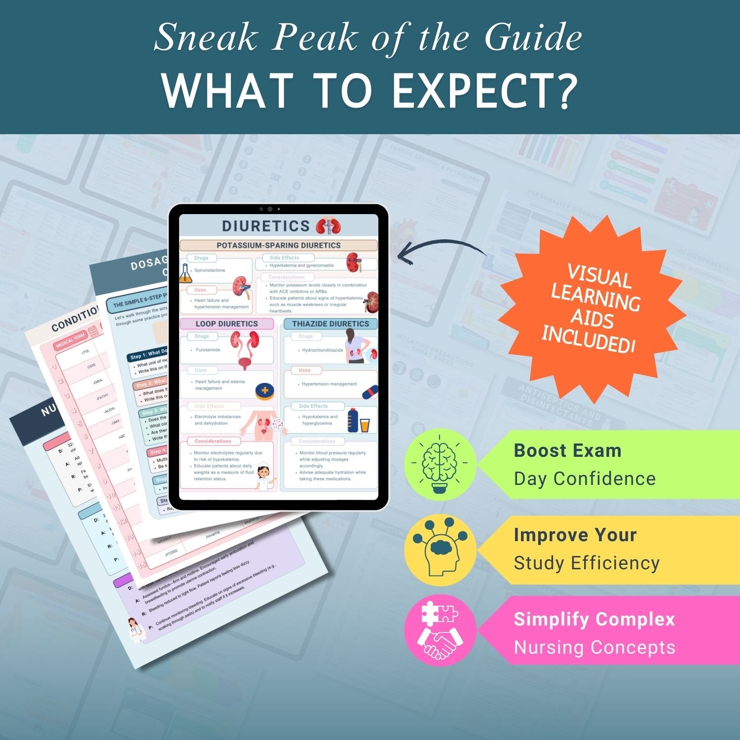 The Ultimate Nursing School Bundle